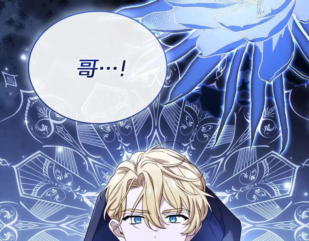 第255页