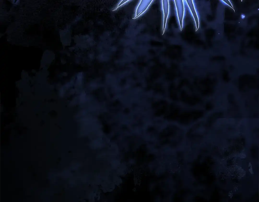 第259页