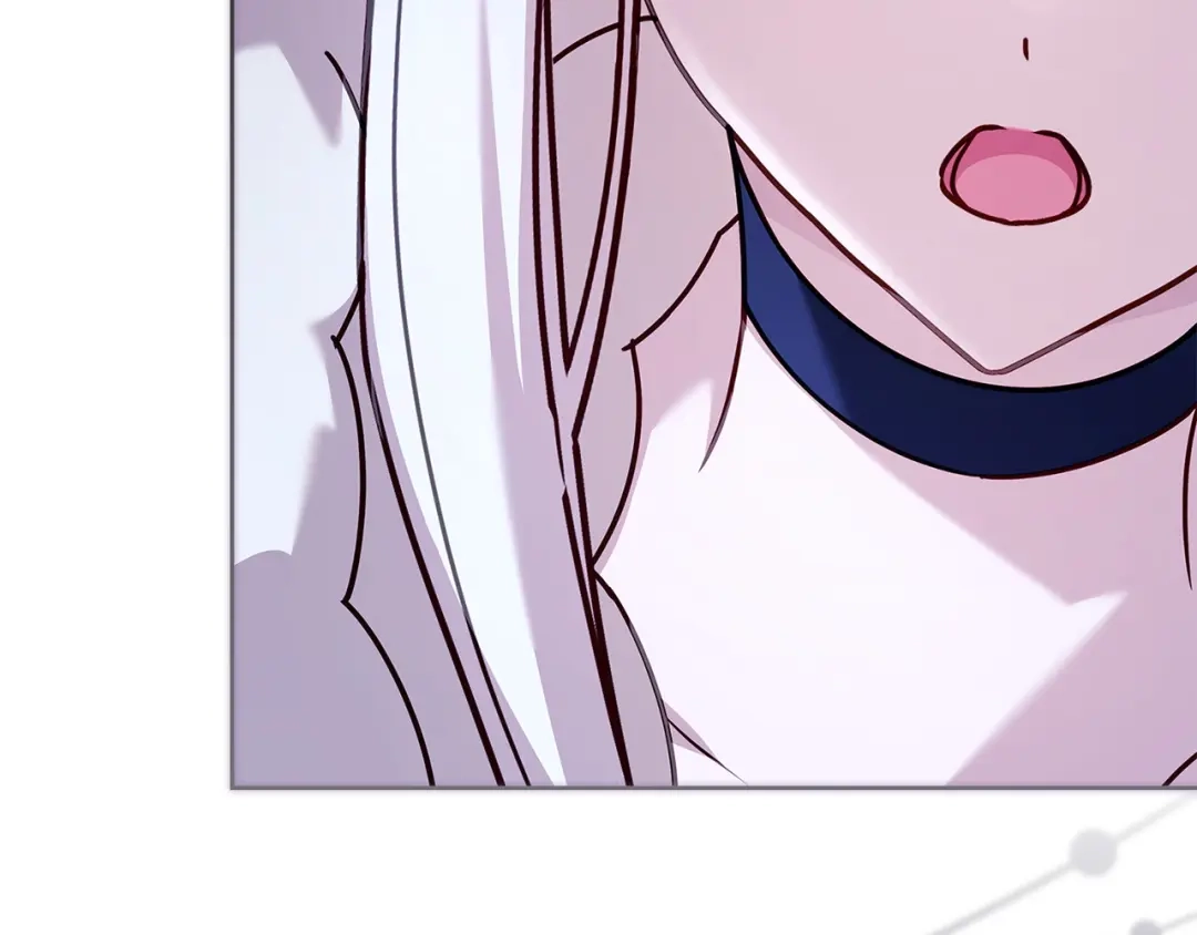 第255页