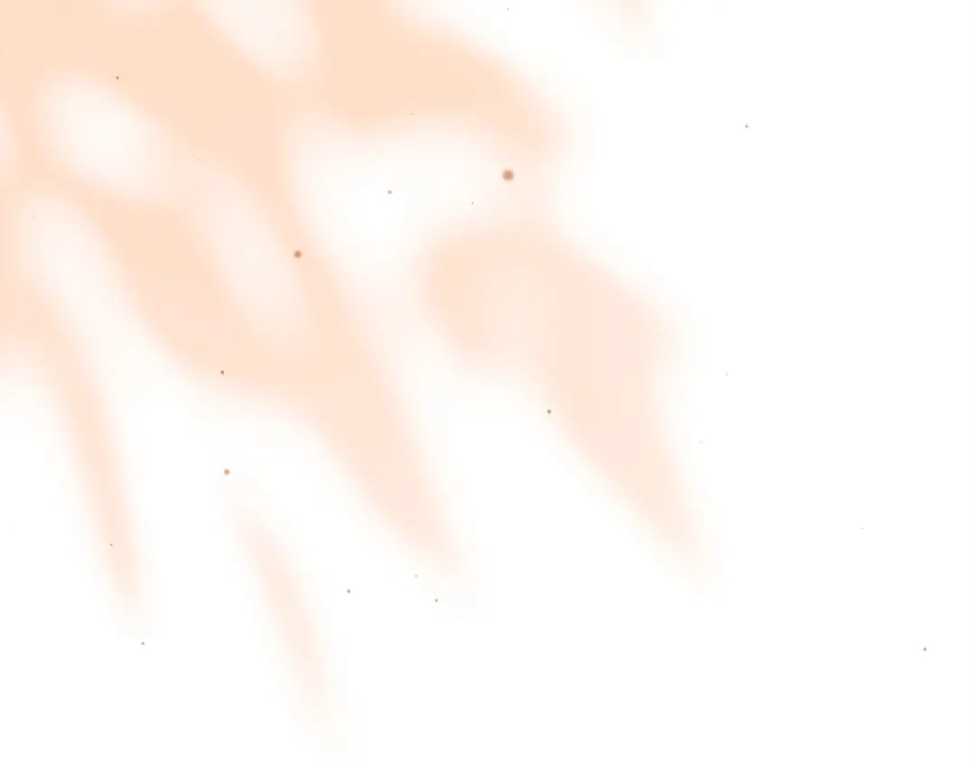 第248页