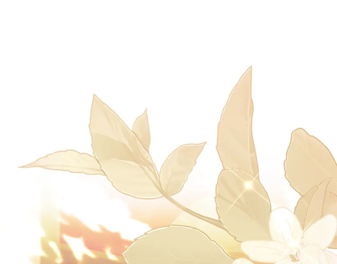 第259页