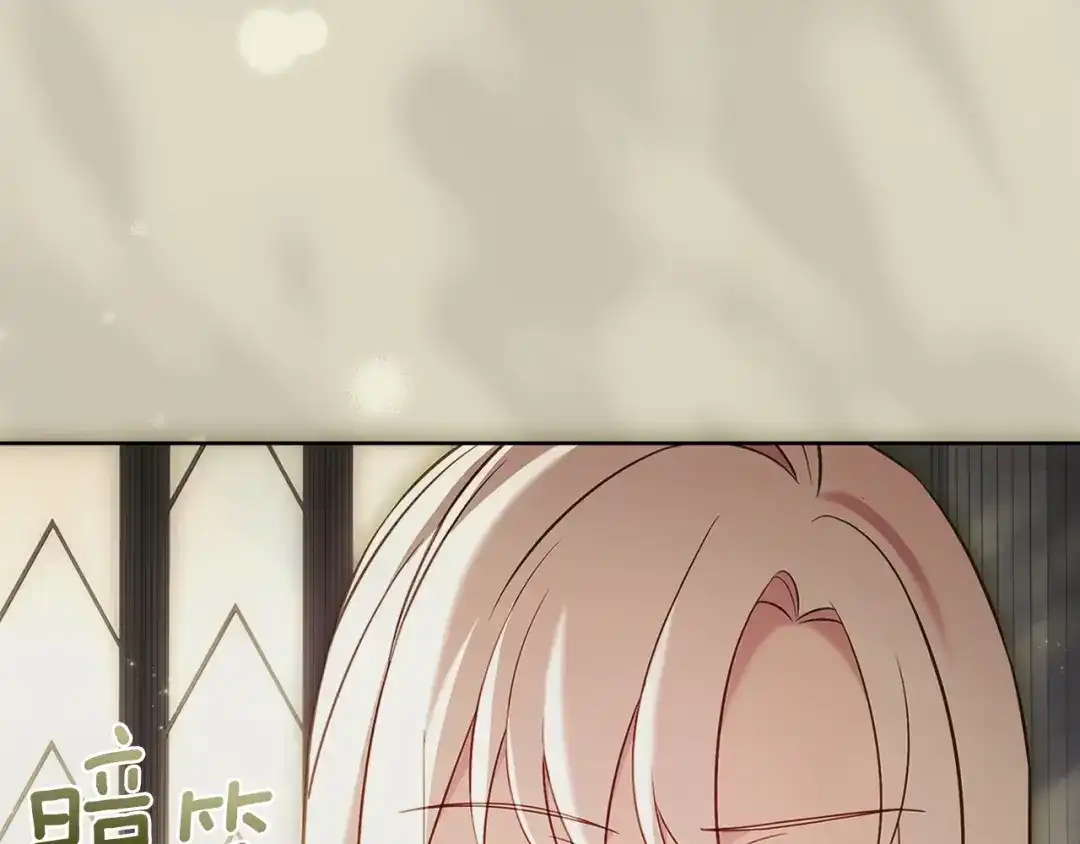 第251页