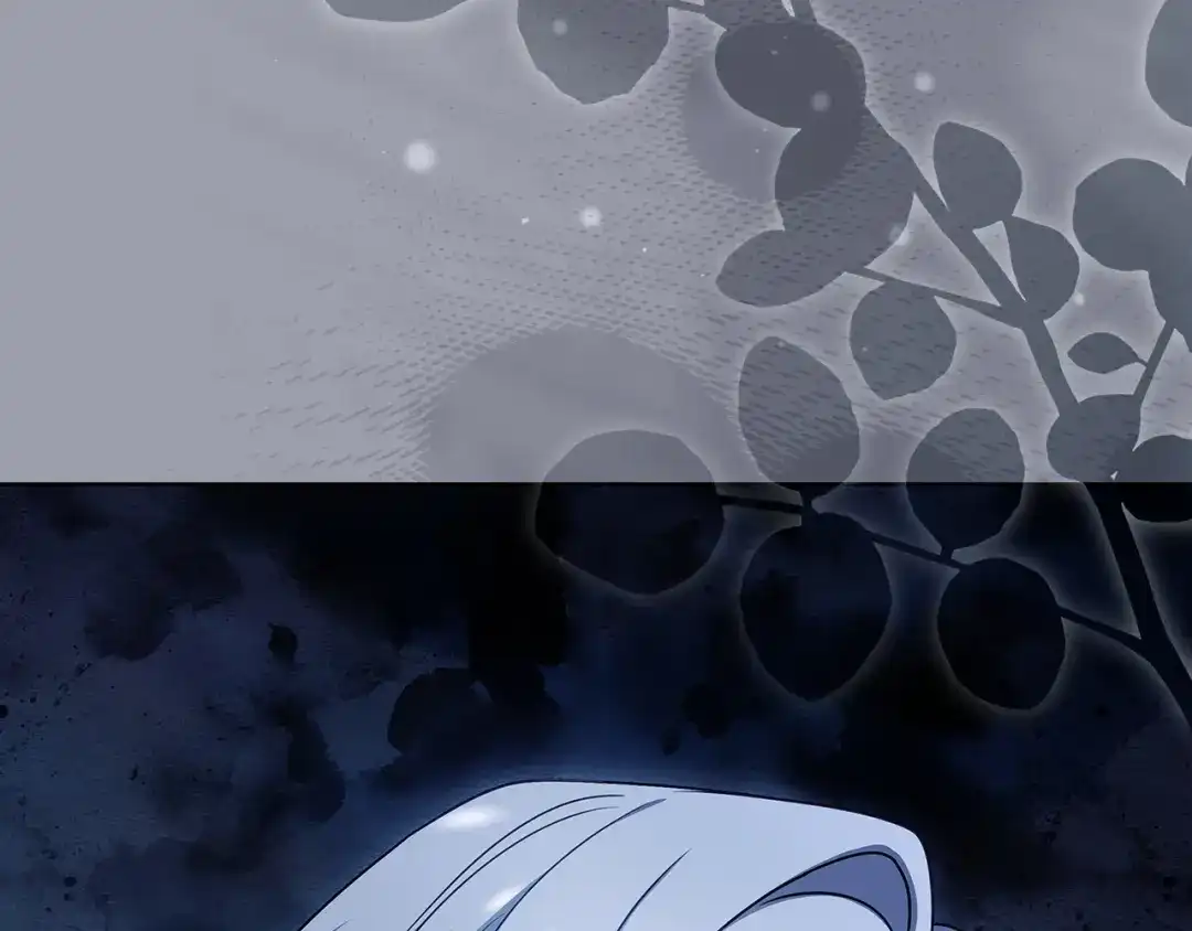 第254页