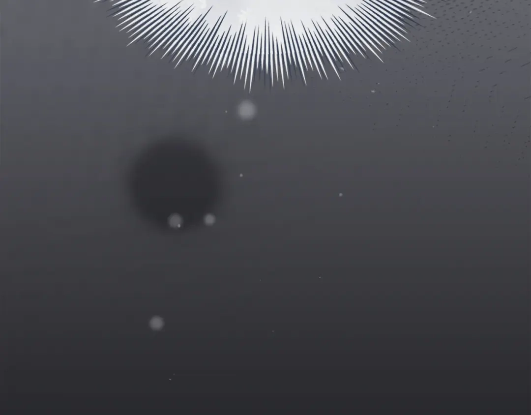 第257页