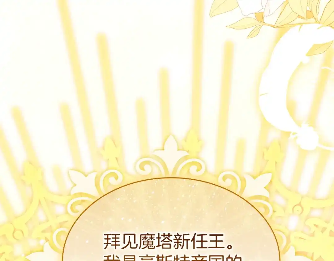 第243页