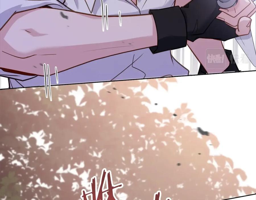 第185页