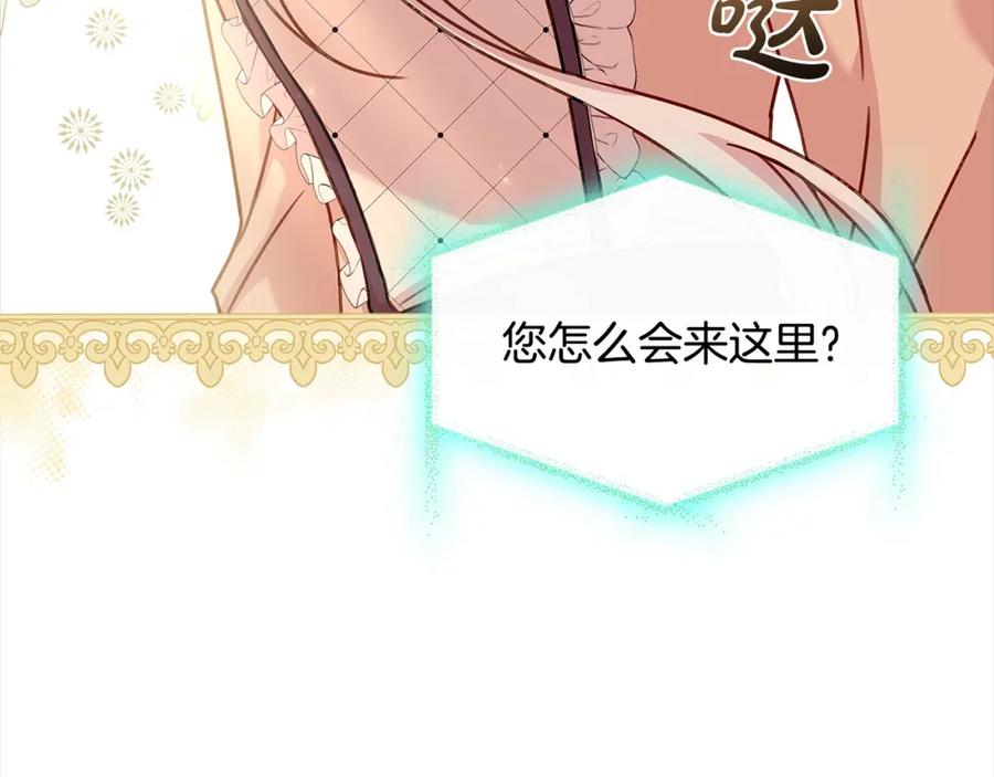 第207页