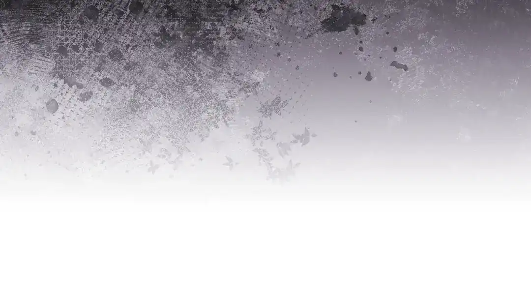 第245页