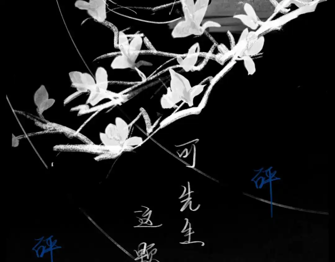 第178页