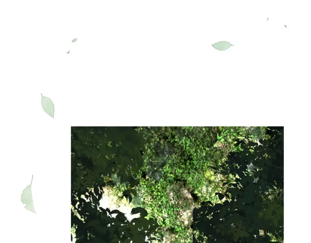 第142页