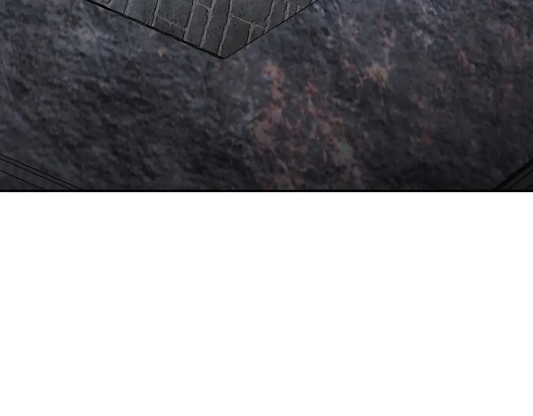第242页