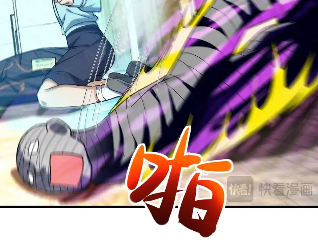第255页