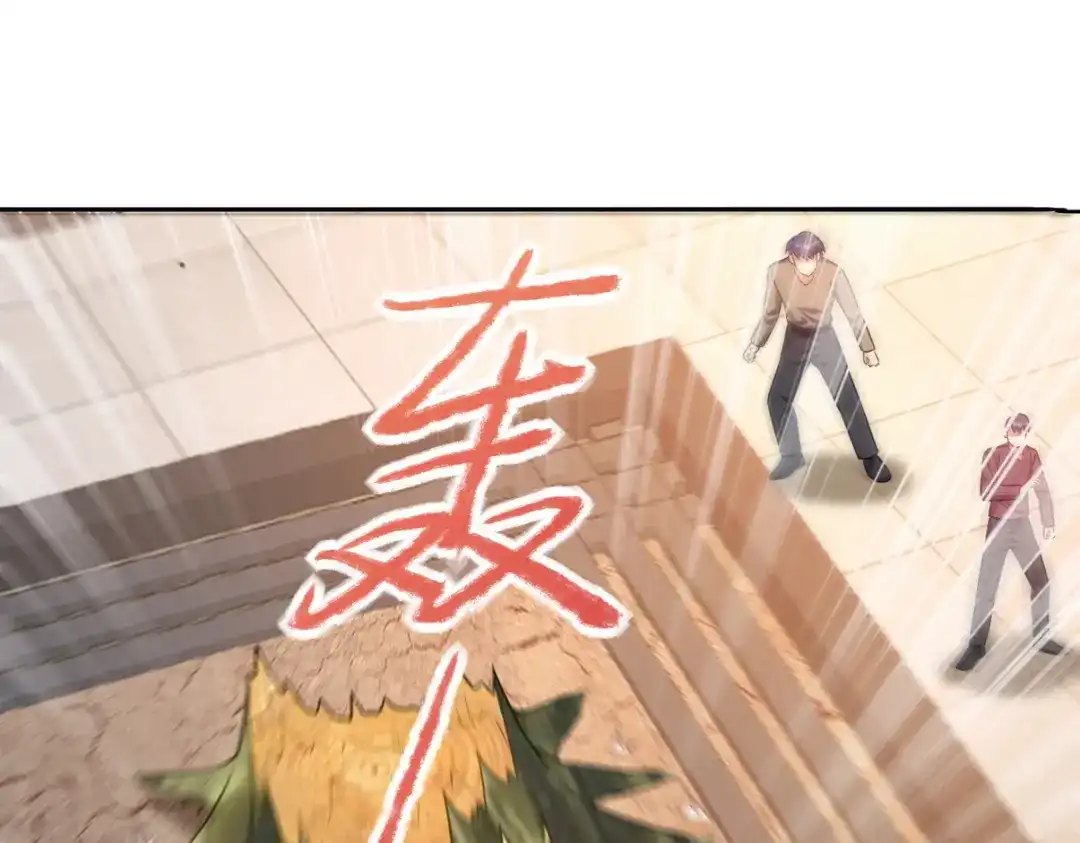 第255页