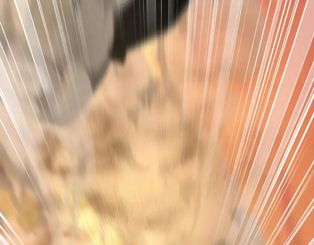 第366页