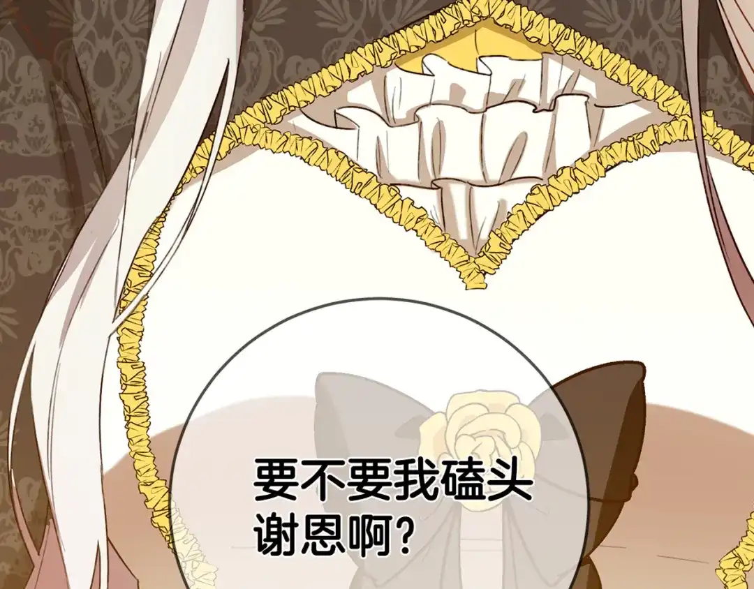 第206页