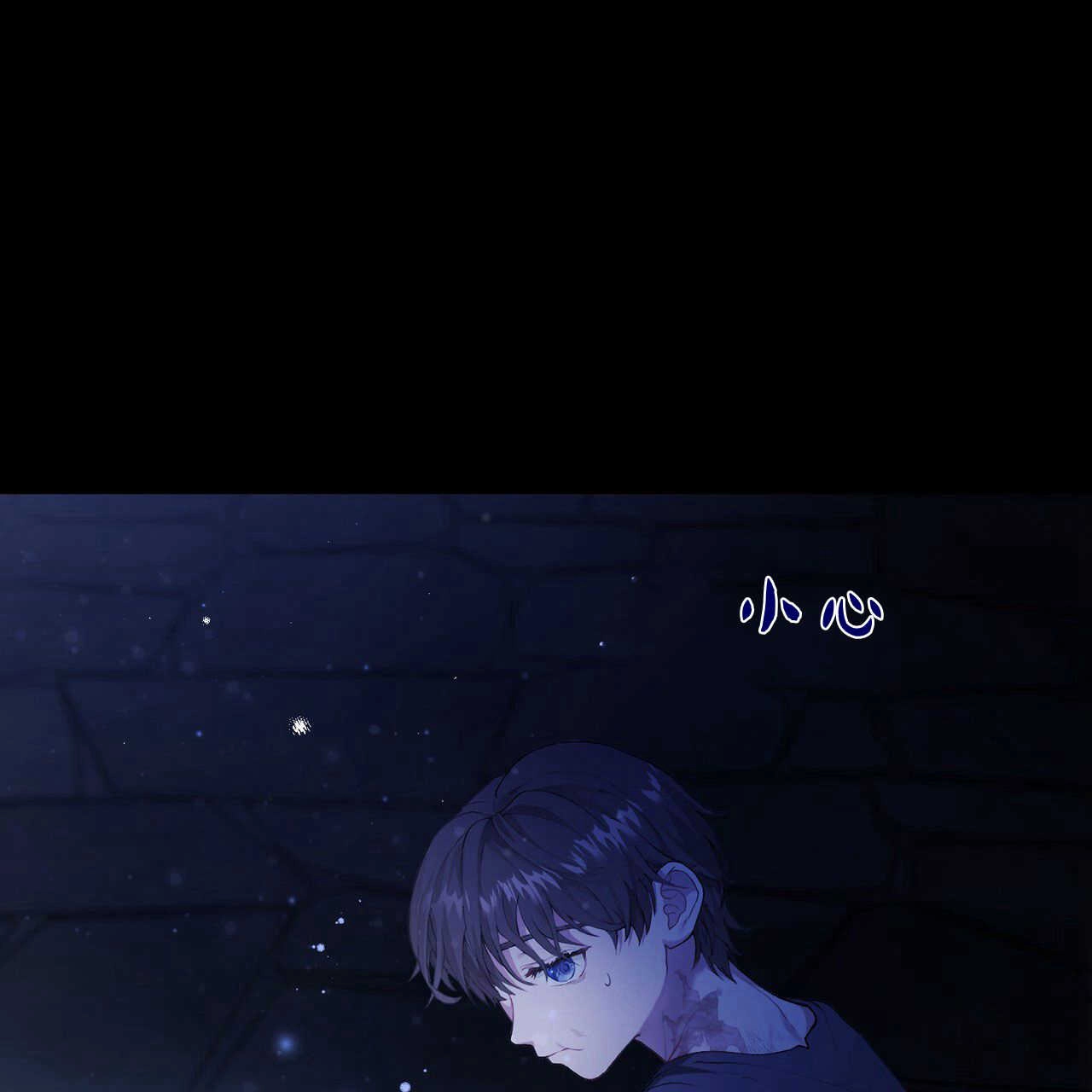 第207页
