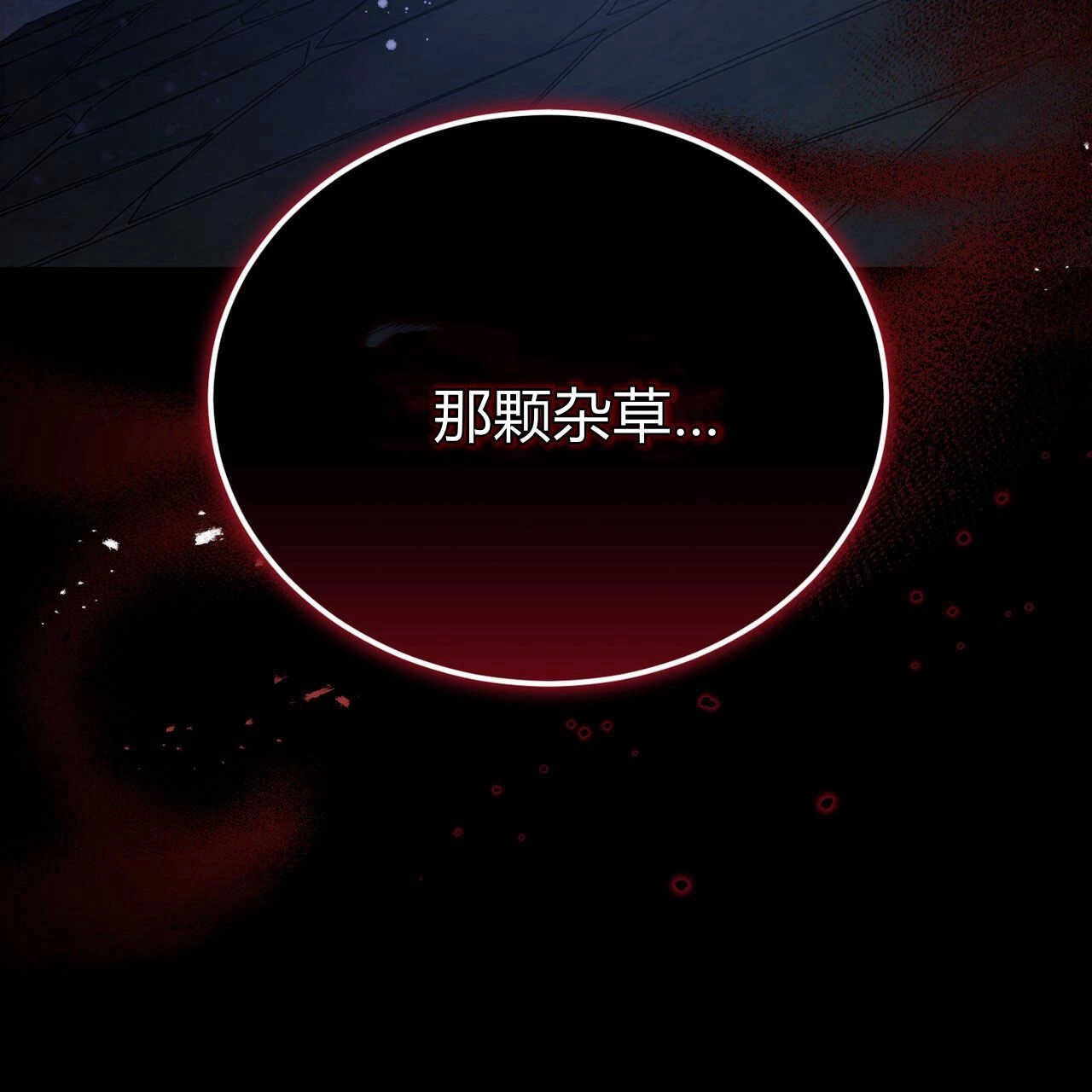 第213页