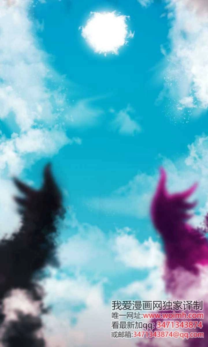 第186页