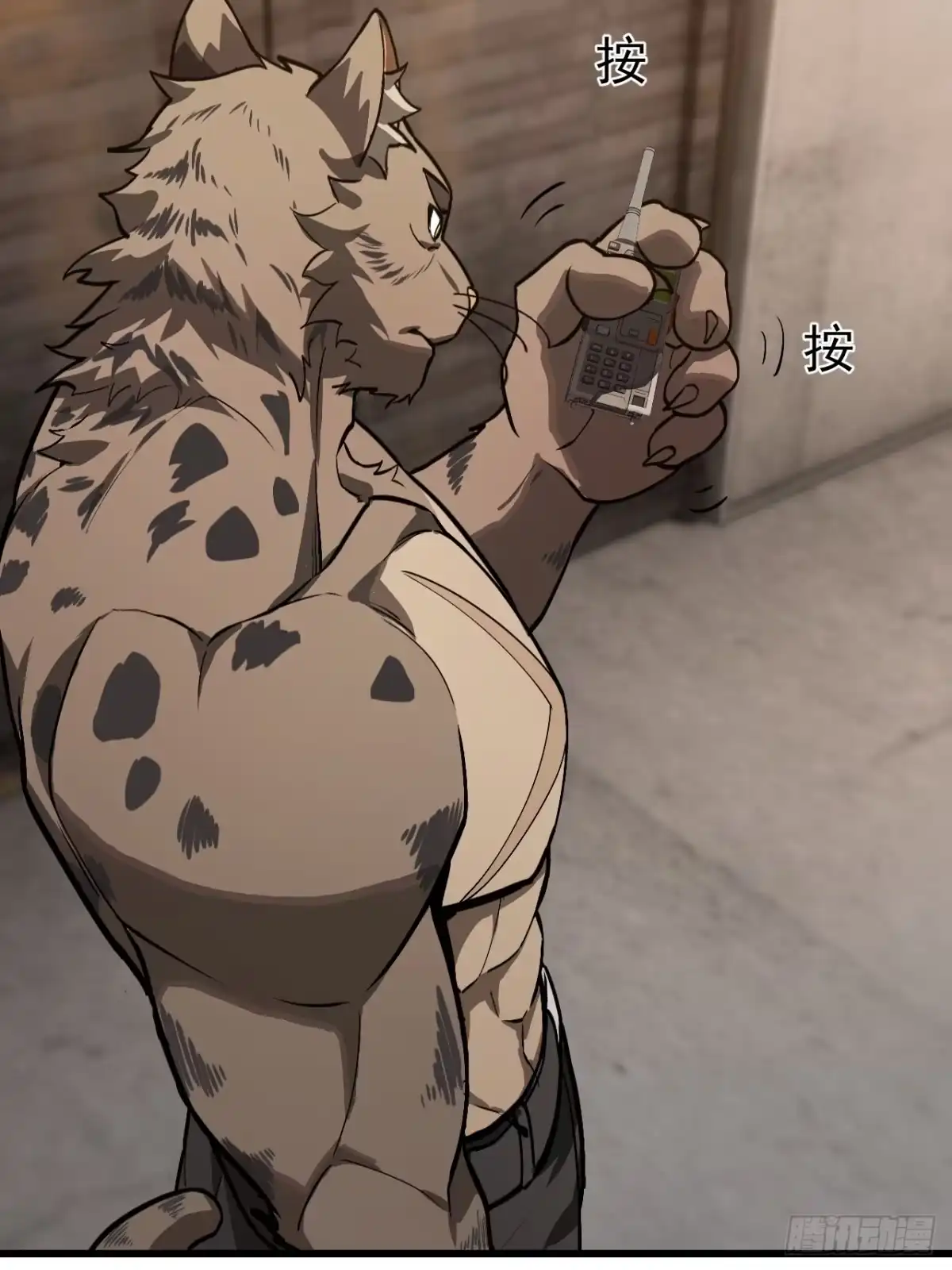 第63页