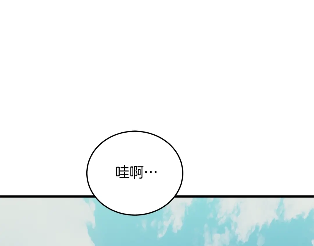 第206页