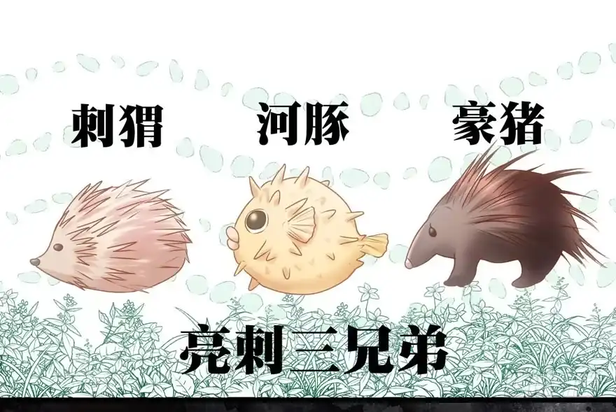 第40页