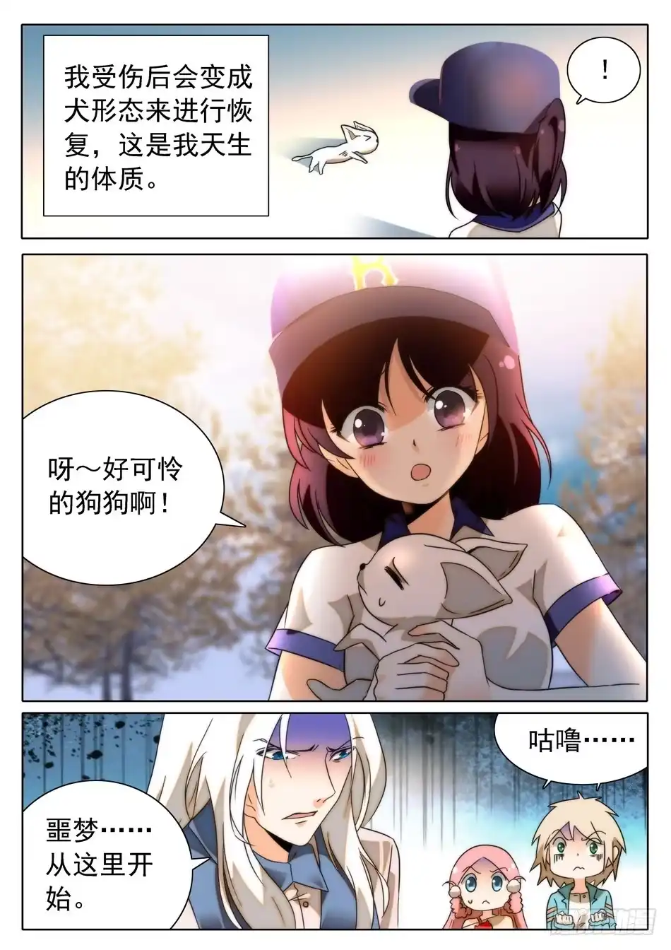 第12页