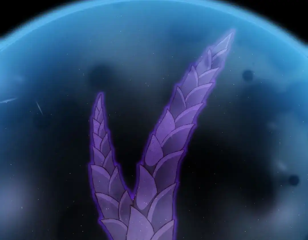 第262页