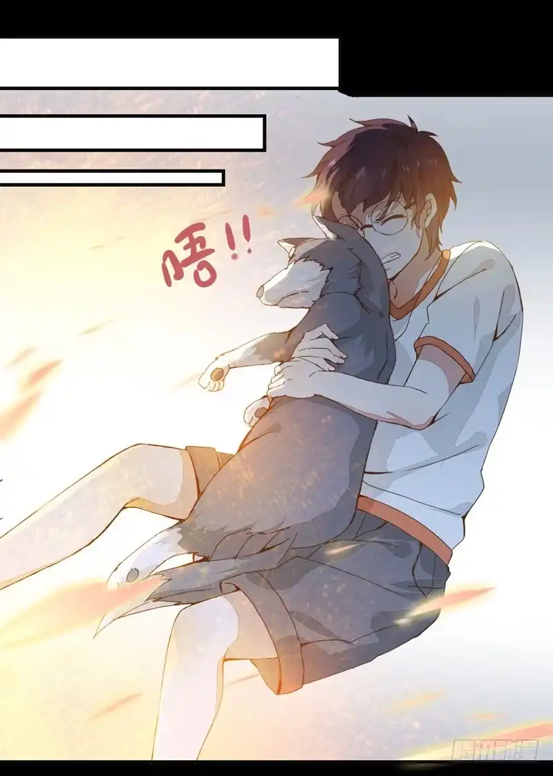 第43页