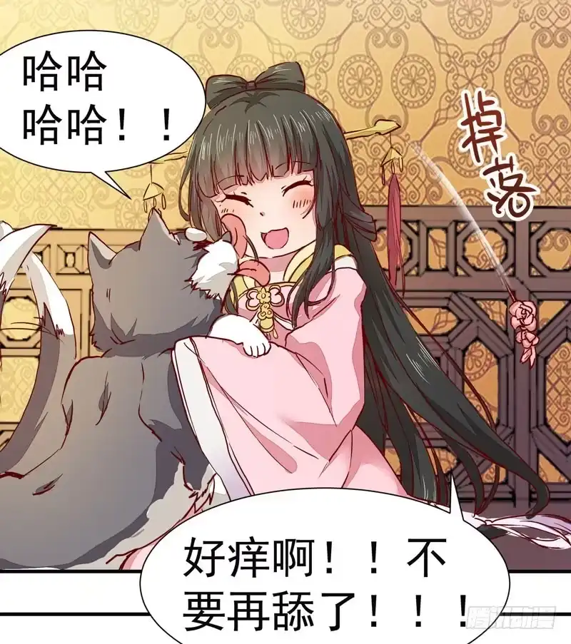 第41页
