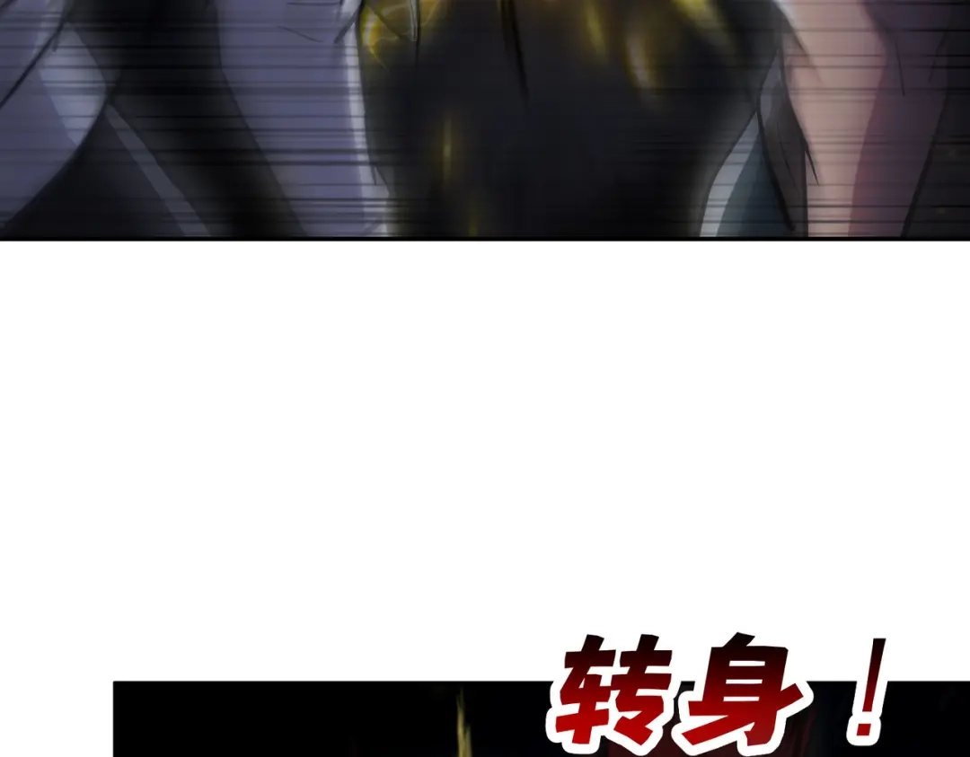 第215页