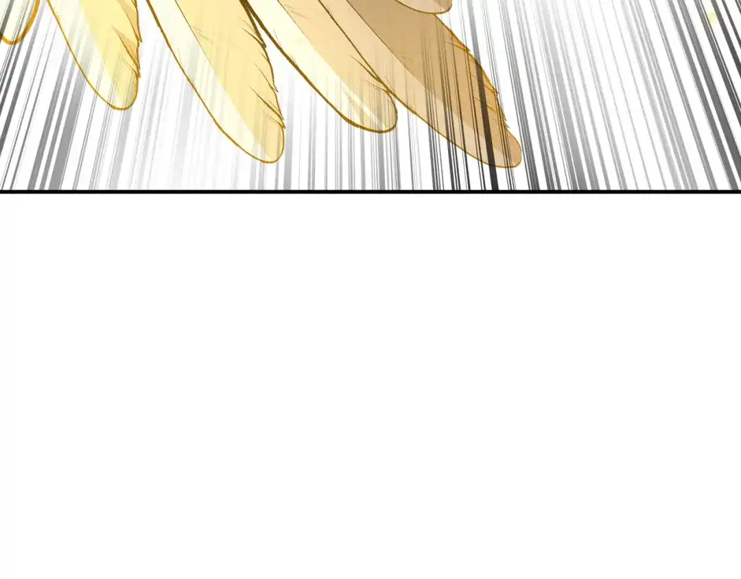 第284页