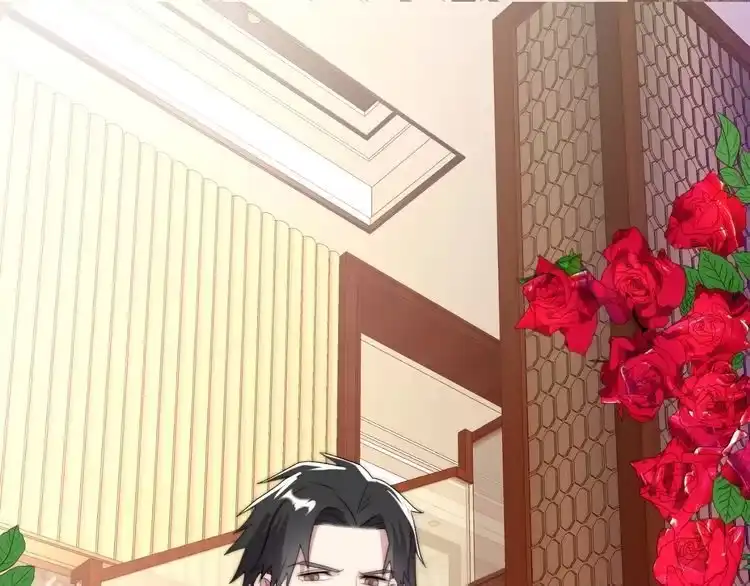 第223页