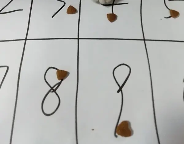 第101页