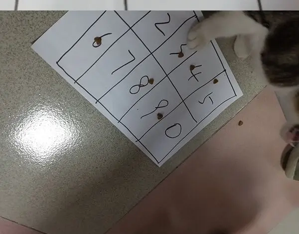 第102页