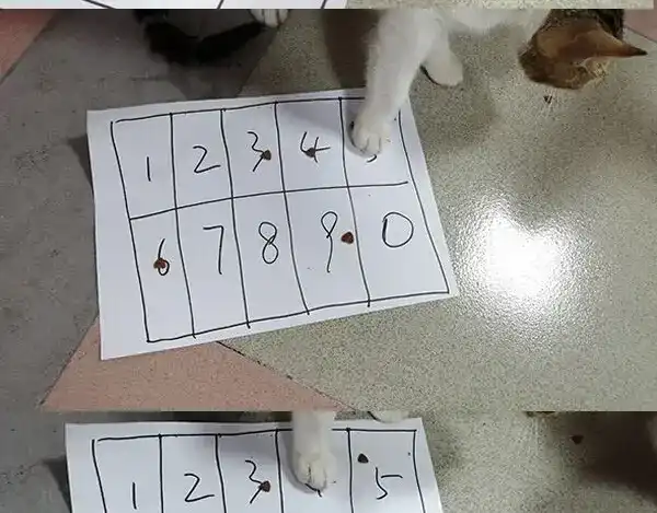 第107页