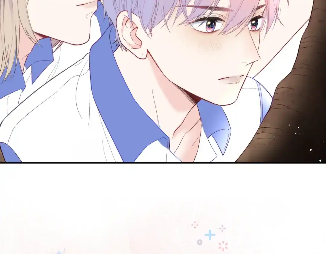 第219页