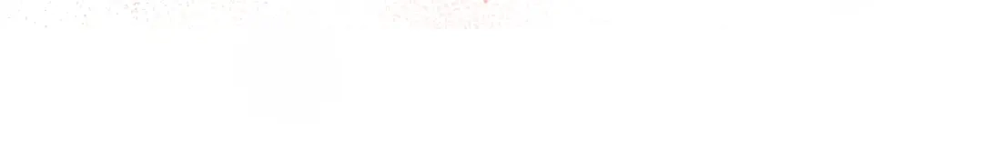 第223页