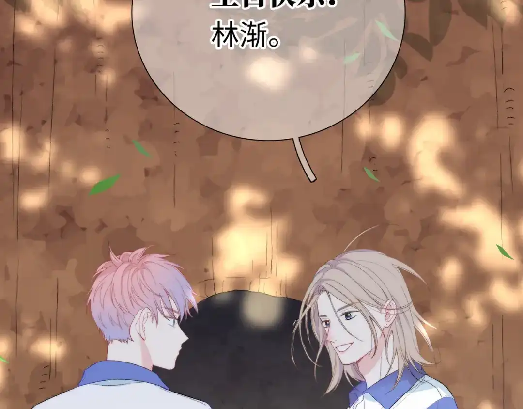 第244页