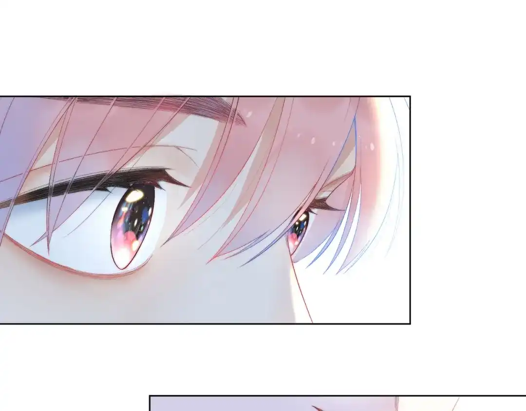 第260页