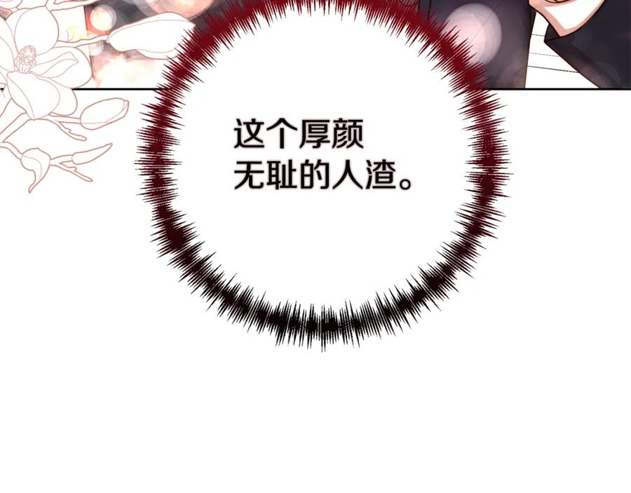第224页