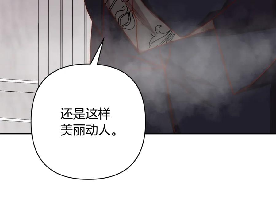 第242页