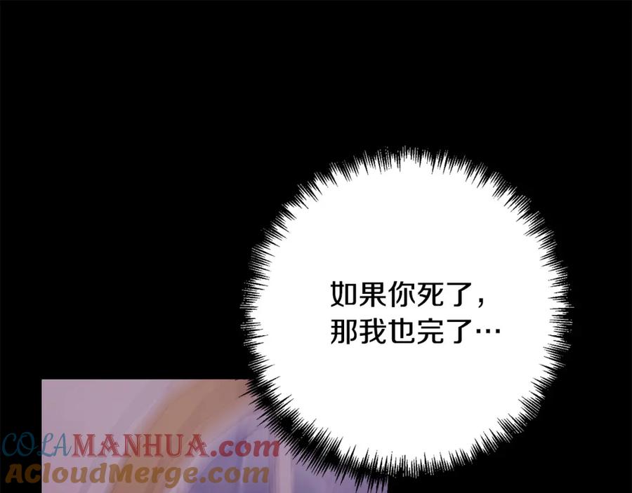 第217页