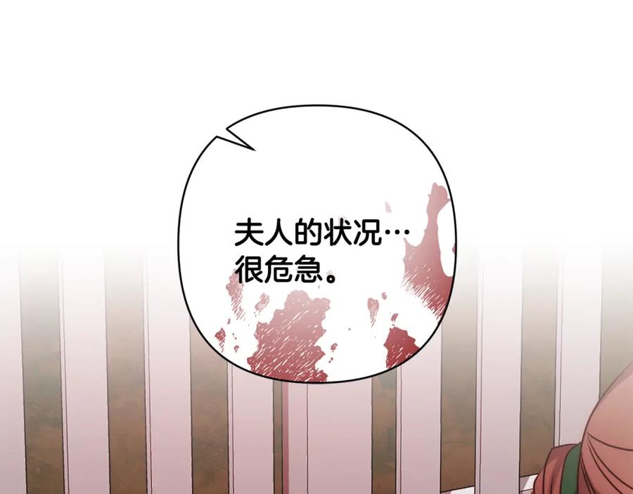 第215页