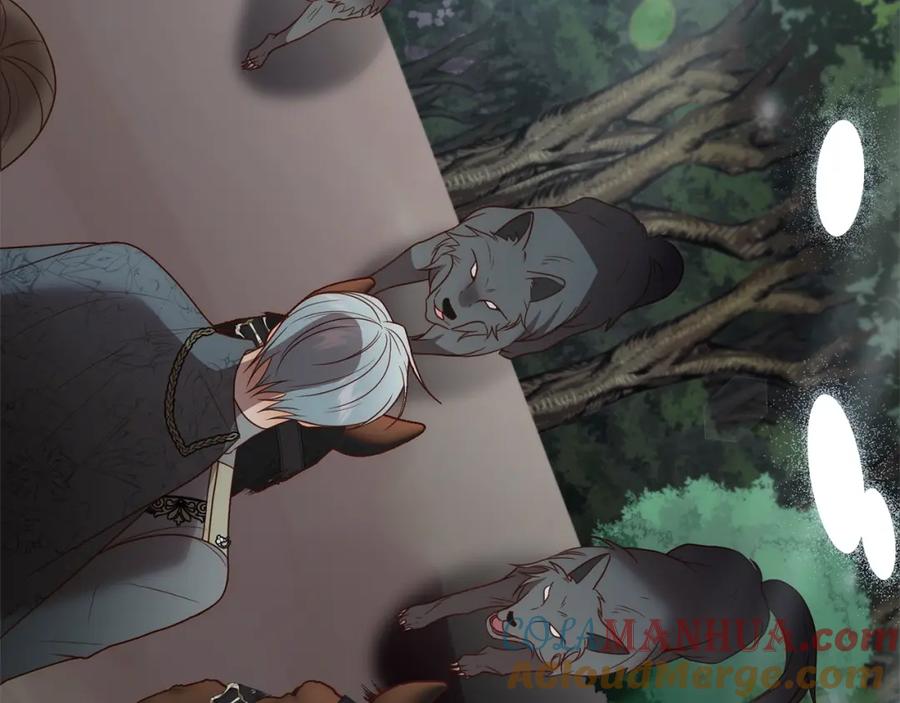 第185页