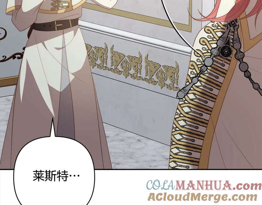 第213页