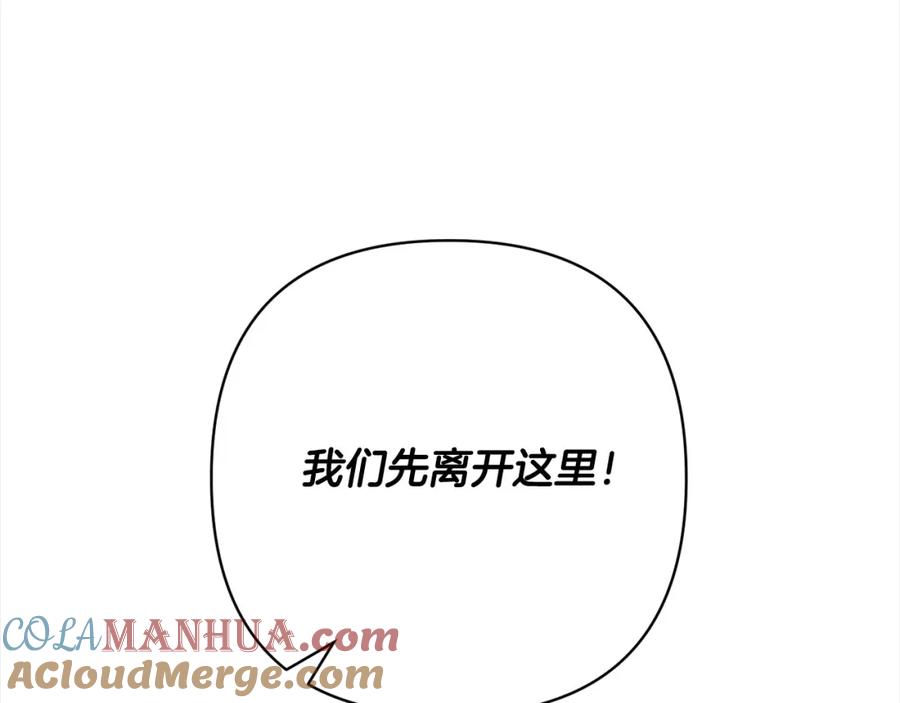 第221页