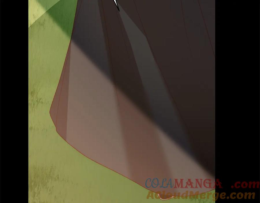 第221页
