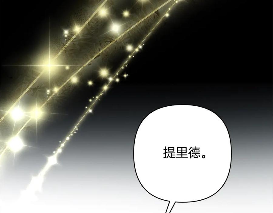 第244页