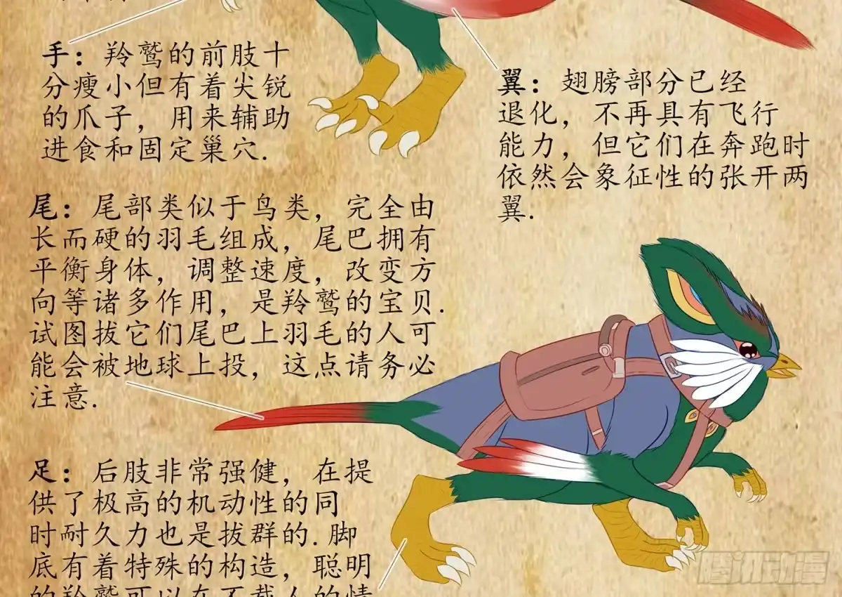 第79页