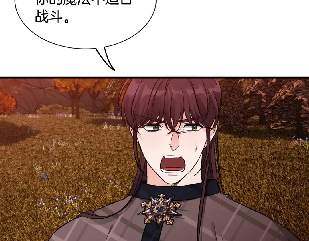第233页